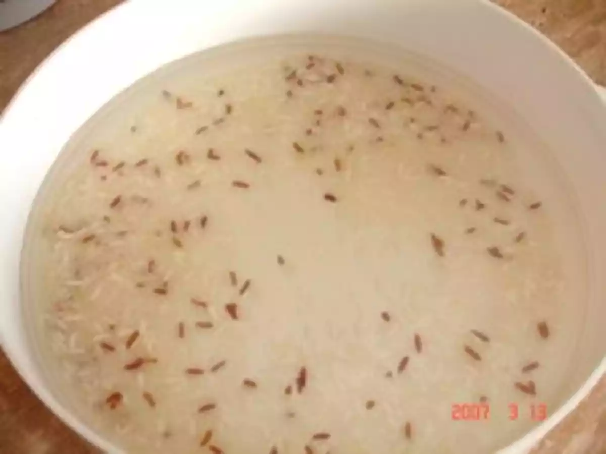 Scampis au pain d'épice - photo 7