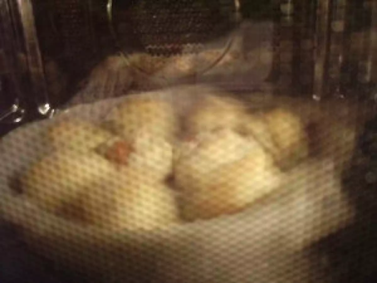 SCONES AU CARAMEL BEURRE SALé - photo 6