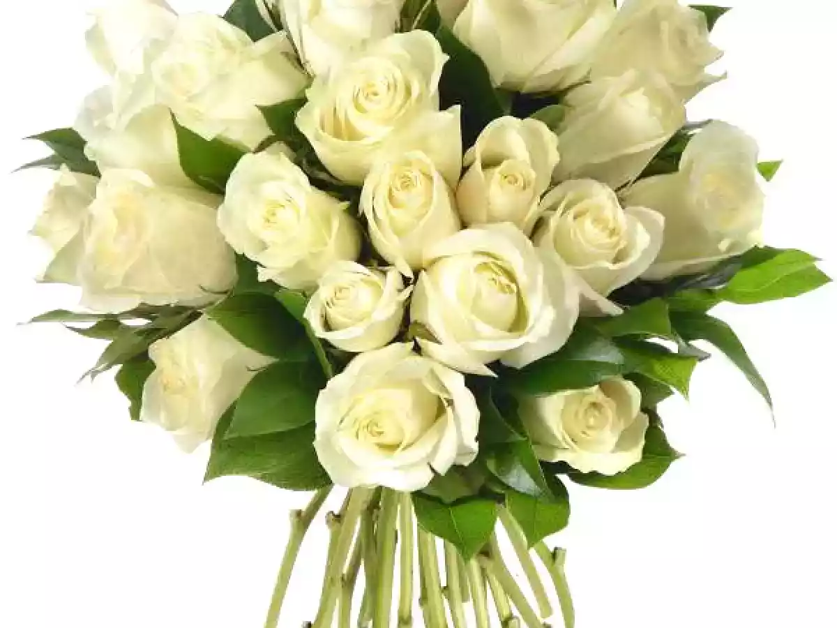 Sdqfqskjdfqù fjjk jkfspoqkfoqmskf