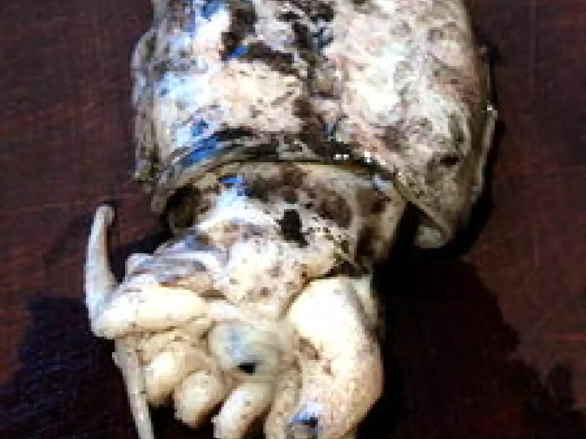 Seiche marinée et grillée, légumes grillés et marinés - photo 3