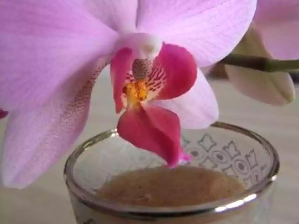 Semoule au lait épicé et aux oranges confites