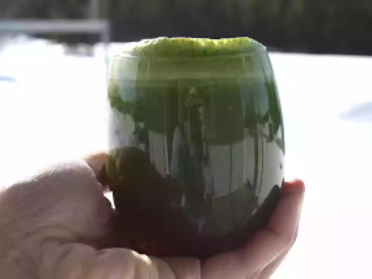 Smoothie vert fruité favori des enfants et Jus vert régénérateur de mamans