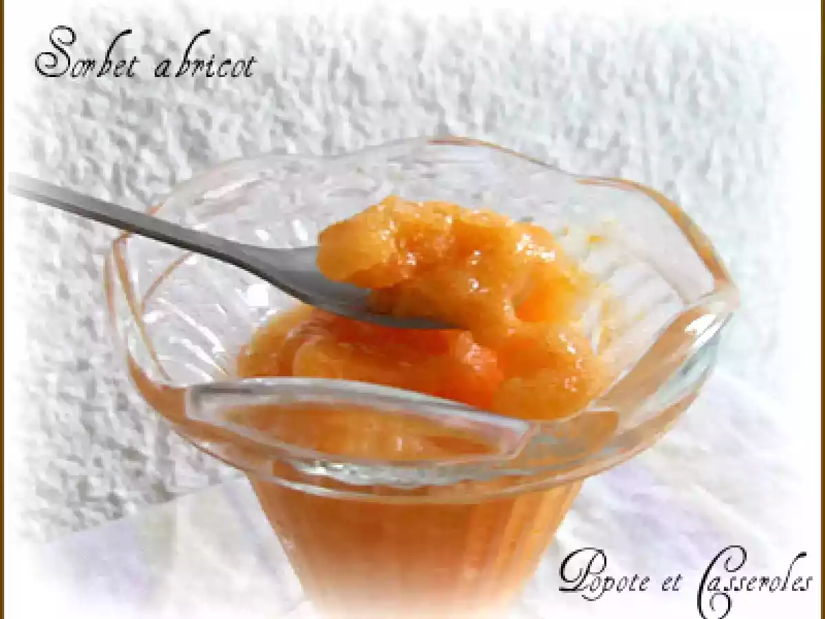 Sorbet à l'abricot - photo 3