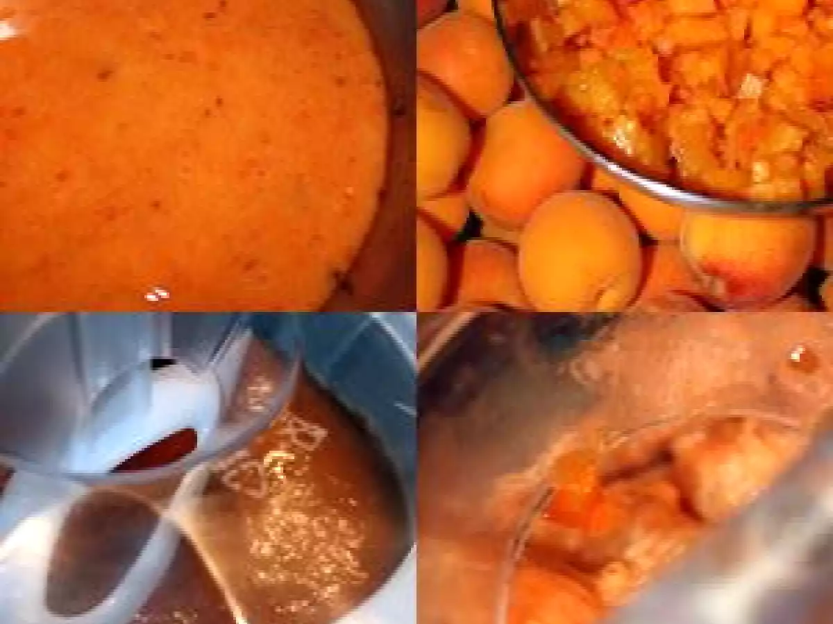 Sorbet Abricot et Vanille - photo 3