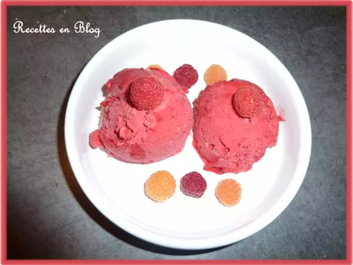SORBET EXPRESS A LA FRAMBOISE AU COOK'IN