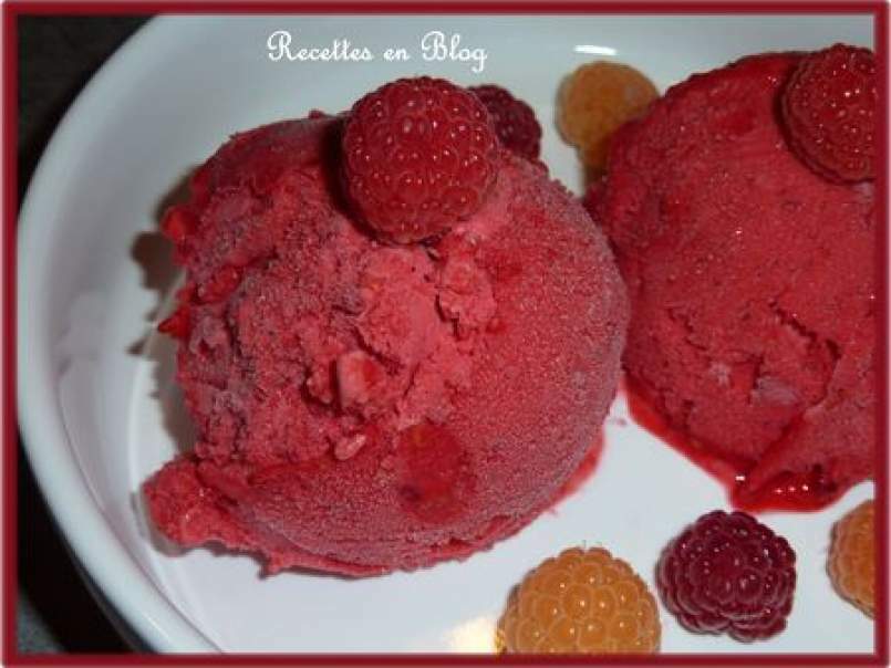 SORBET EXPRESS A LA FRAMBOISE AU COOK'IN - photo 2