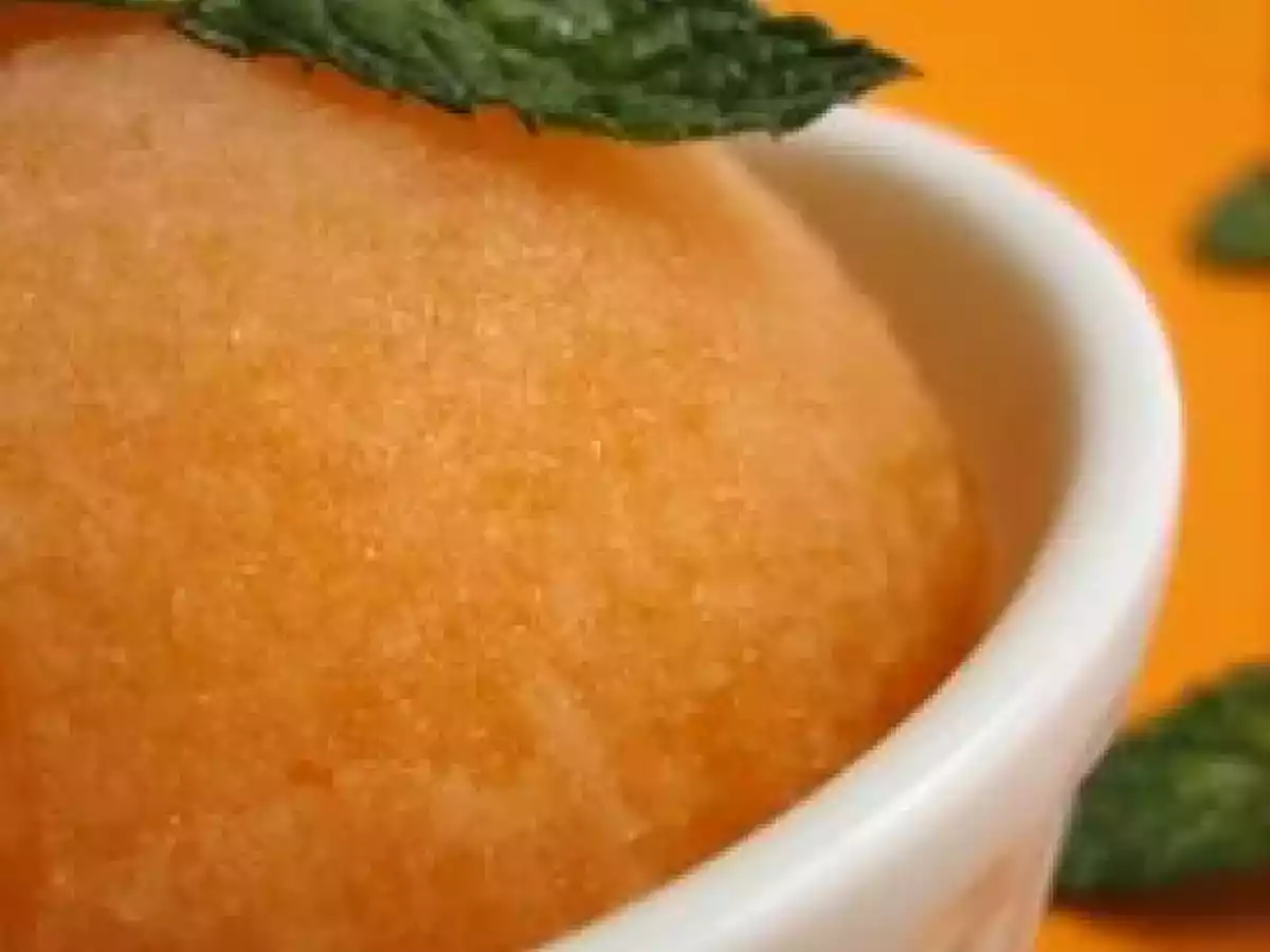 Sorbet melon-pastis - photo 3