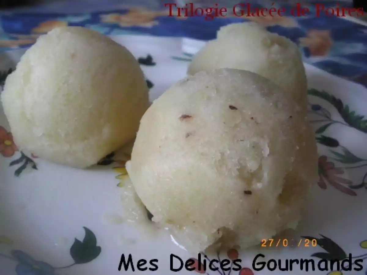 Sorbet Poires Chocolat