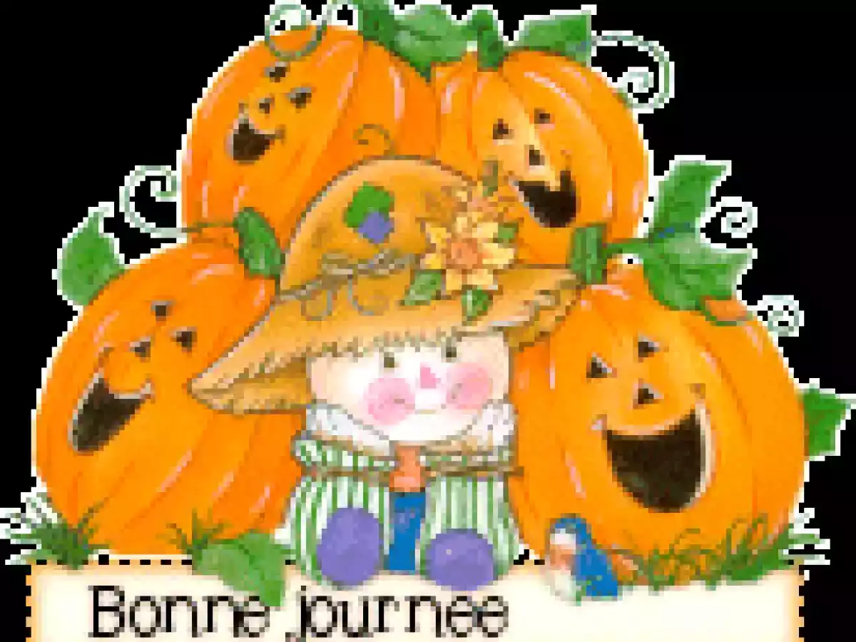 Soufflé dubarry light - photo 3