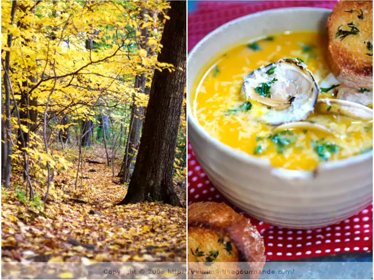 Soupe au potimarron parfumée au curry, avec lentilles corail, lait de coco et praires - photo 4