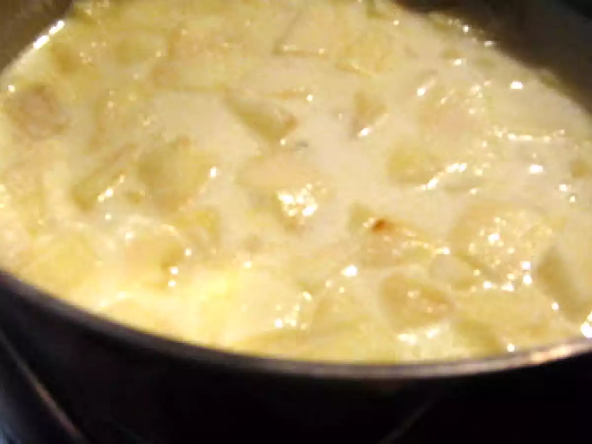 Soupe au raifort frais et aux pommes - Apfel-Meerettichsuppe - photo 4