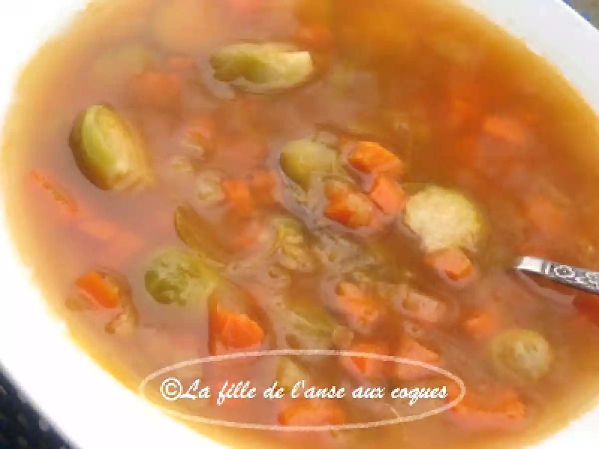 SOUPE AUX CHOUX DE BRUXELLES ET CAROTTES AUX LENTILLES