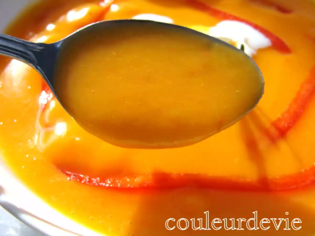 Soupe catalane au chorizo - photo 3