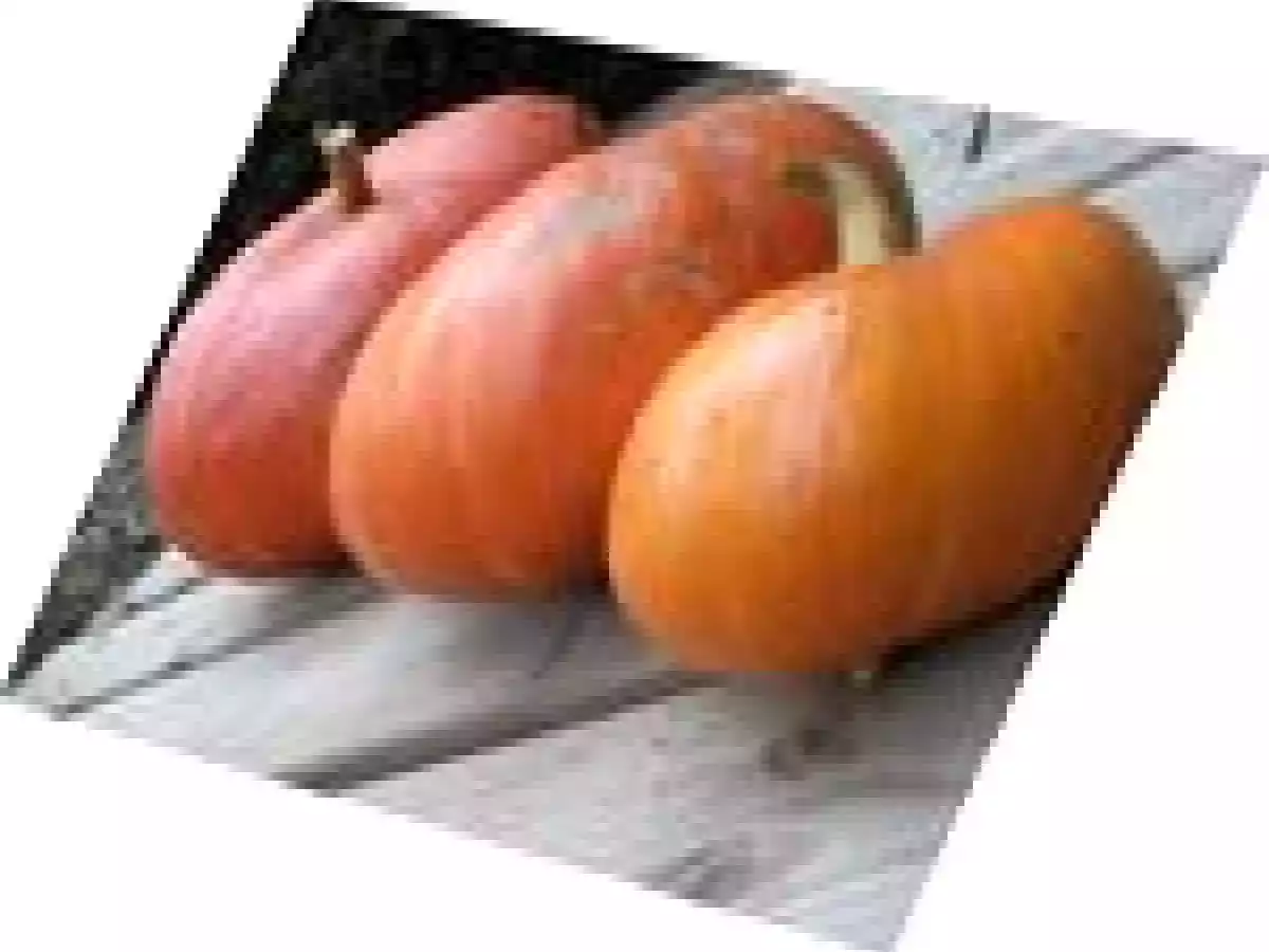 Soupe citrouille et sa tartine de gruyère gratiné - photo 2