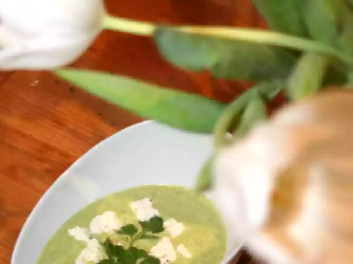 Soupe Courgette, Ail & Fines Herbes - photo 2