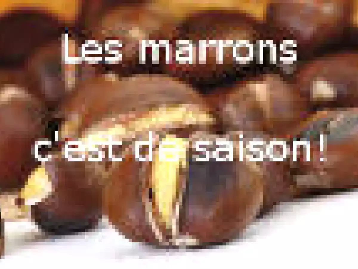 Soupe de marron - Limousin - photo 3