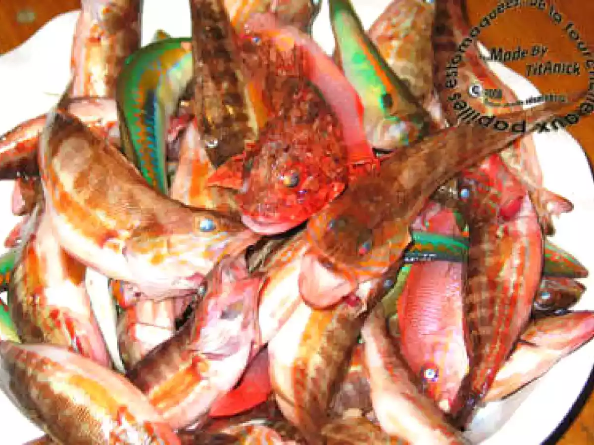Soupe de poissons de roche et sa rouille... - photo 2
