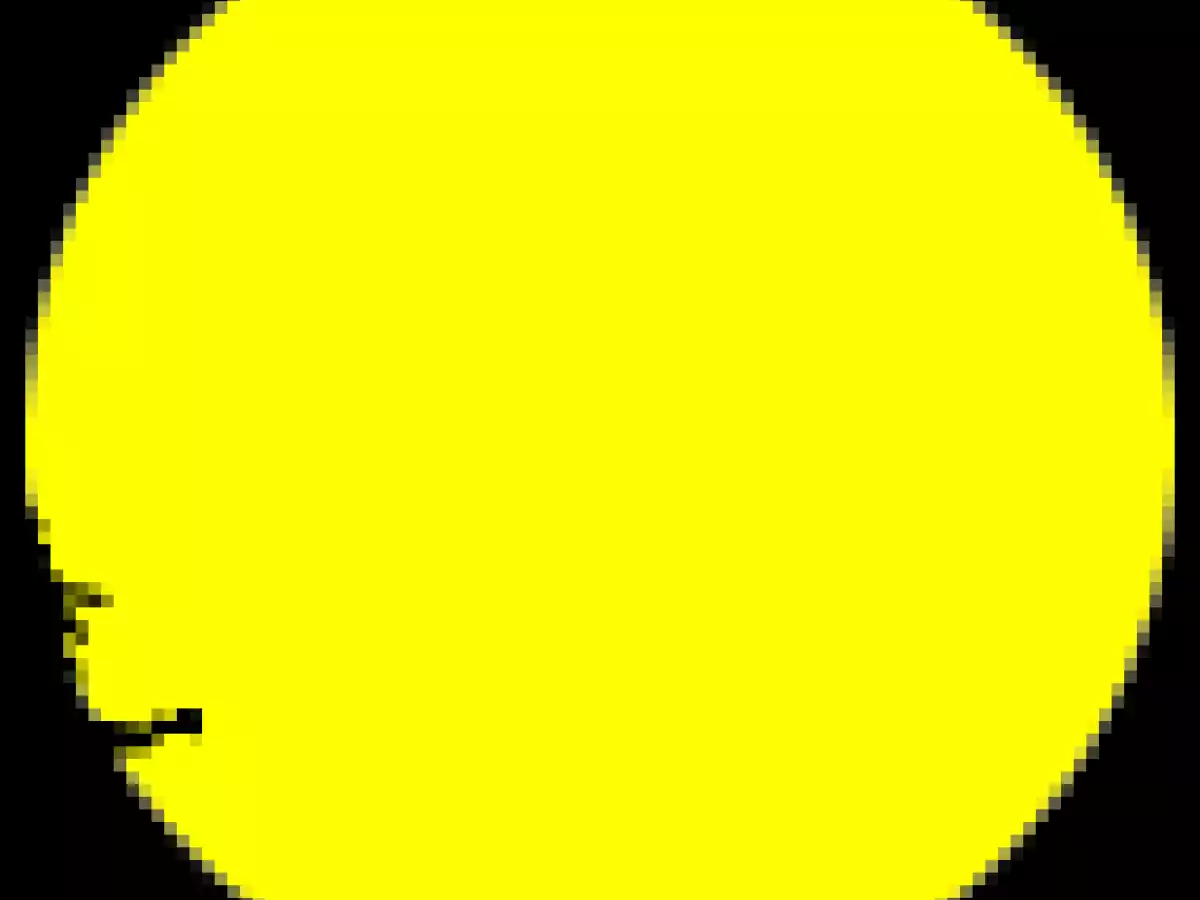 SOUPE DE POTIRON de la sorcière - photo 4