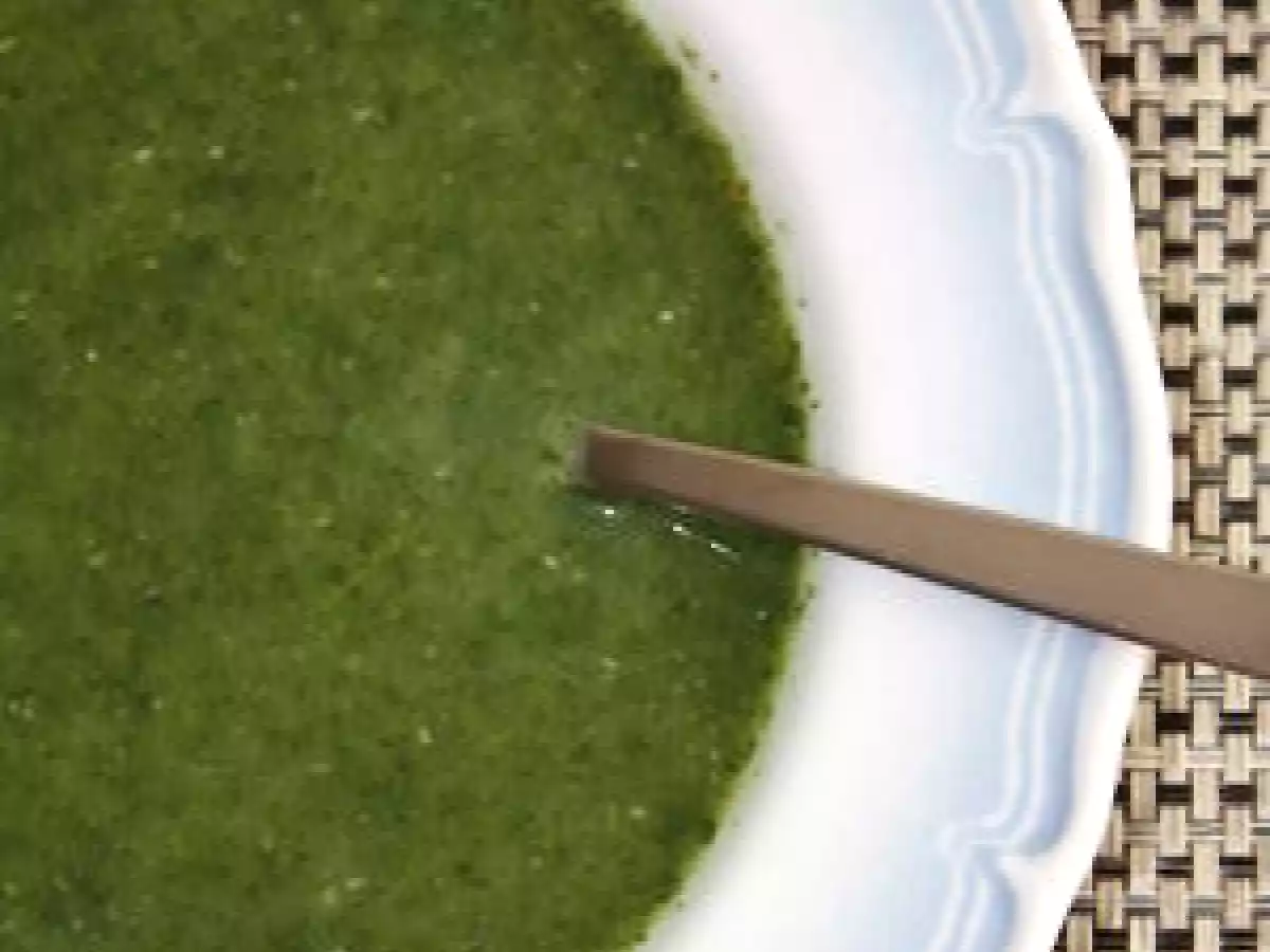 Soupe de roquette et courgette