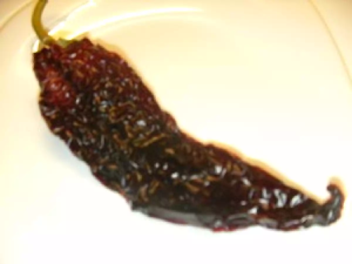 Soupe printanière aux orties - photo 2