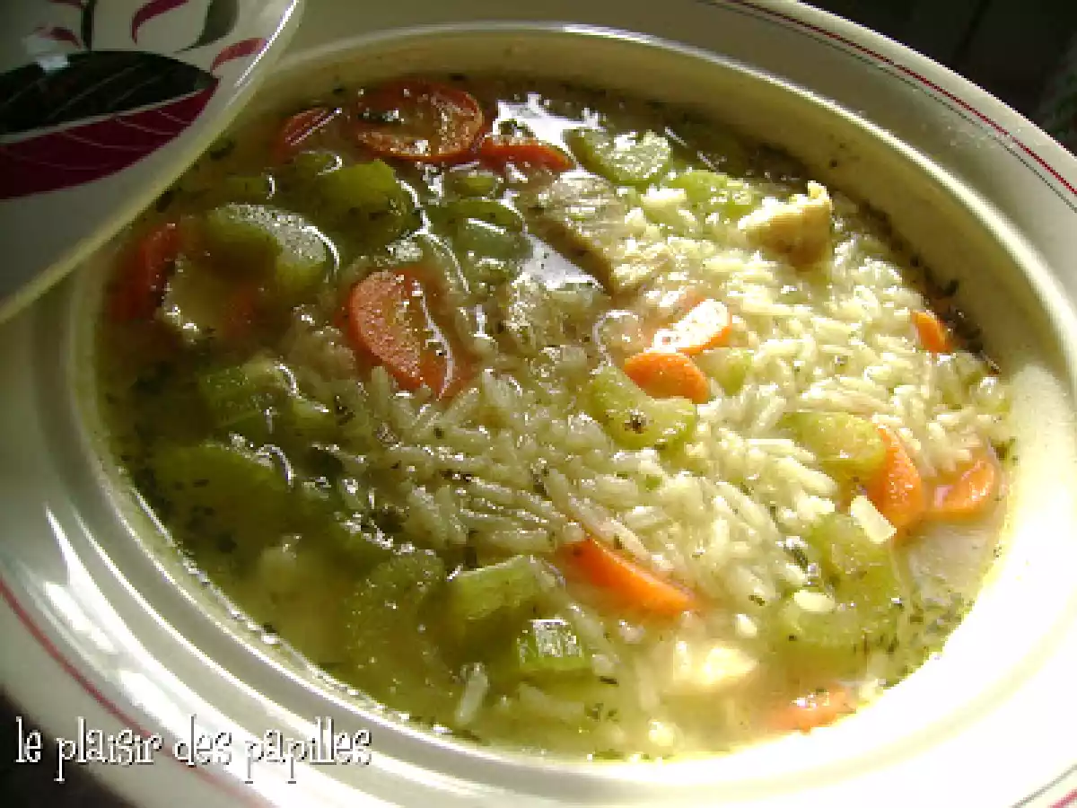 Soupe réconfortante au poulet et au riz. - photo 2
