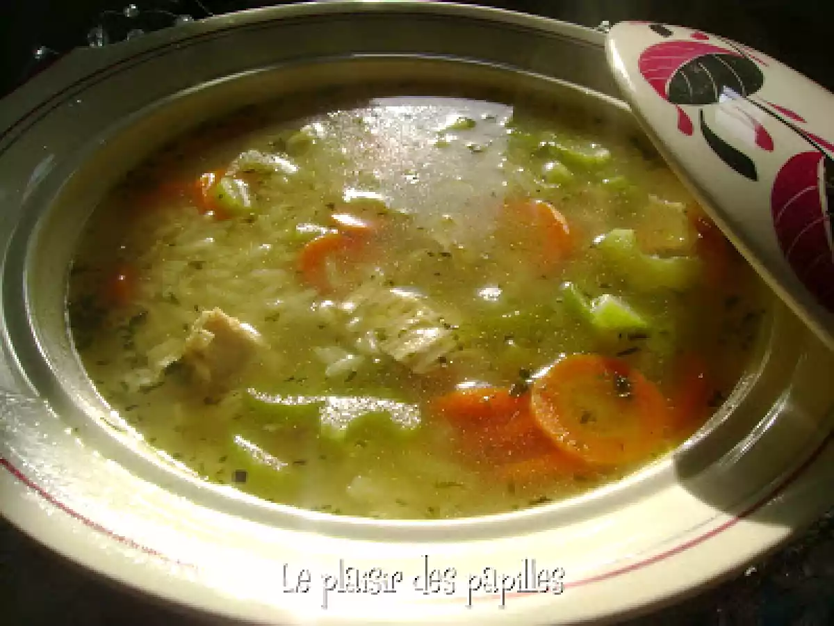 Soupe réconfortante au poulet et au riz. - photo 3