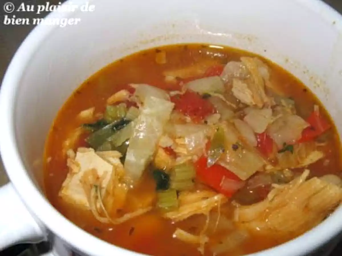 Soupe repas toscane aux légumes et au poulet