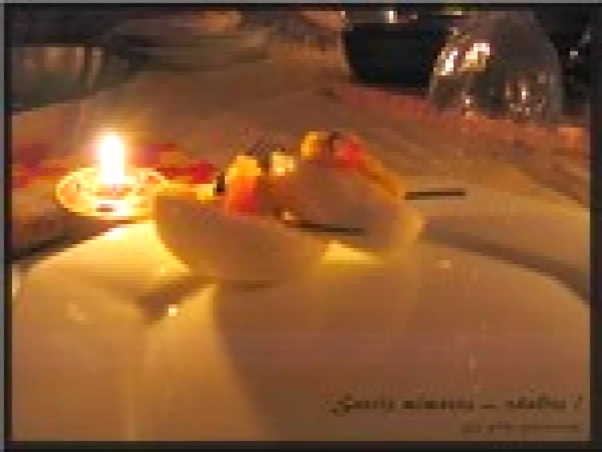 Souris mimosas - photo 3