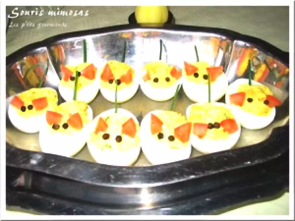 Souris mimosas - photo 4