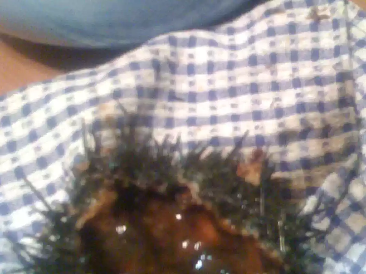 Spaghetti aux oursins - photo 3