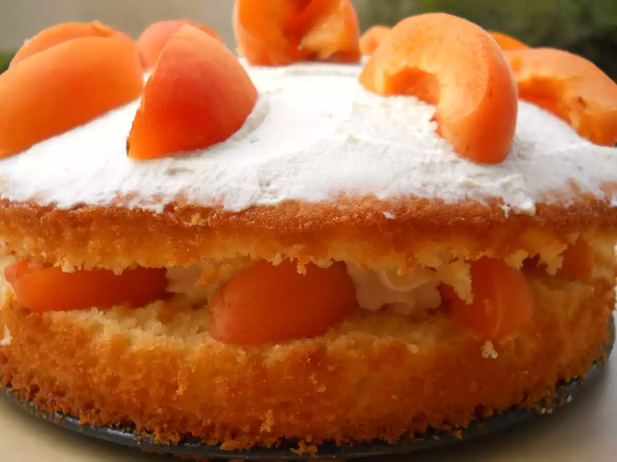 Sponge cake citron vert/ricotta/abricot