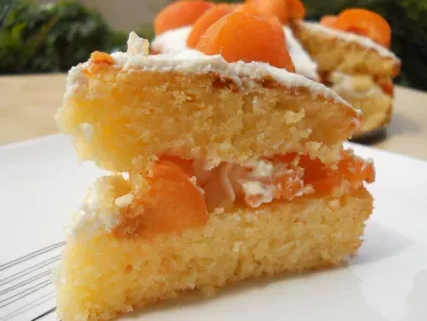 Sponge cake citron vert/ricotta/abricot, photo 2