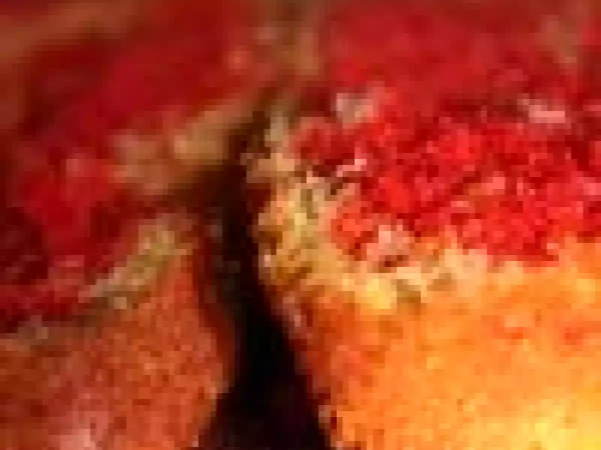 Sponge cake marbré à la crème pâtissière - photo 2