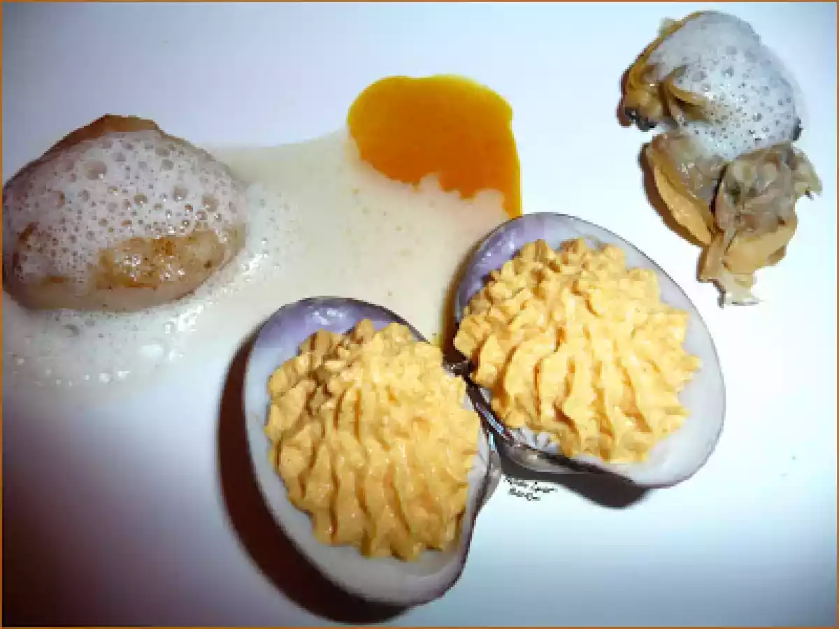 St Jacques et Mousse Coraillée ....