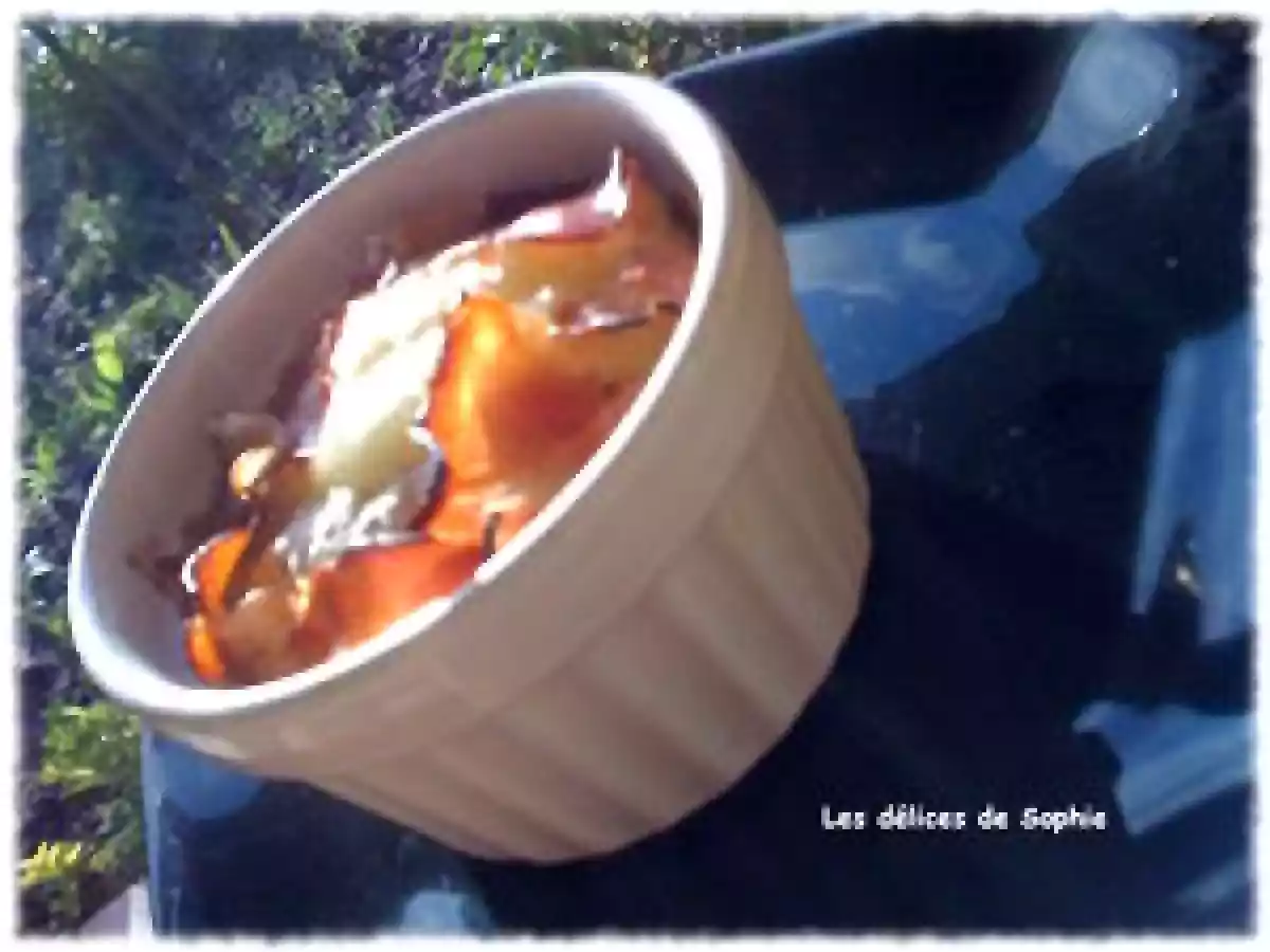 Surprise de Jambon de pays et camembert - photo 2