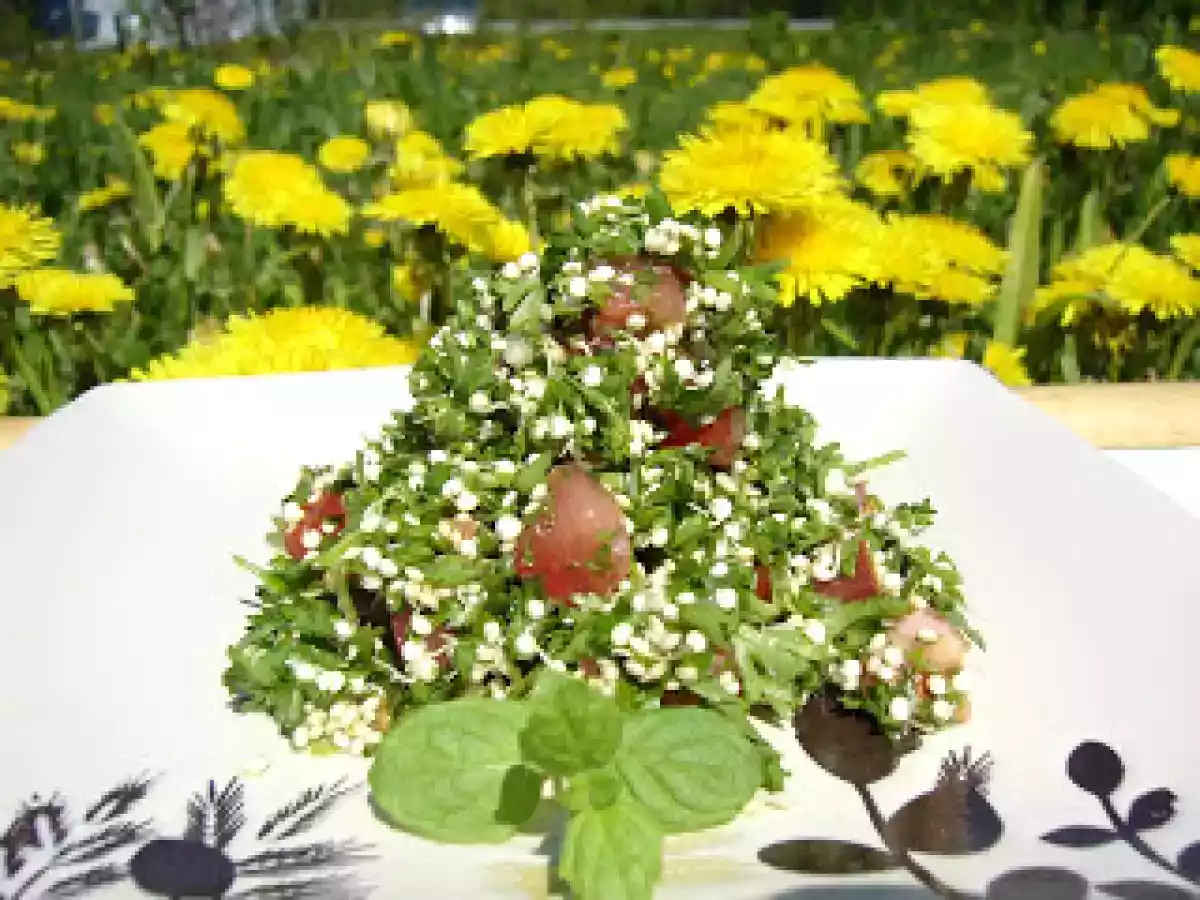 Taboulé de quinoa germé