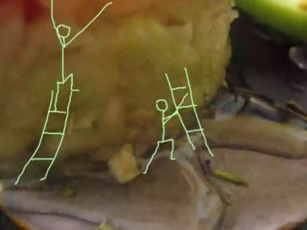 Tartare de Saint Jacques à la pomme Granny - photo 2