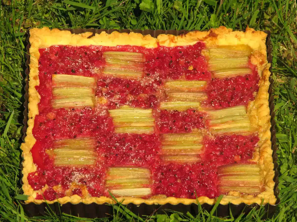 Tarte à la rhubarbe et aux groseilles