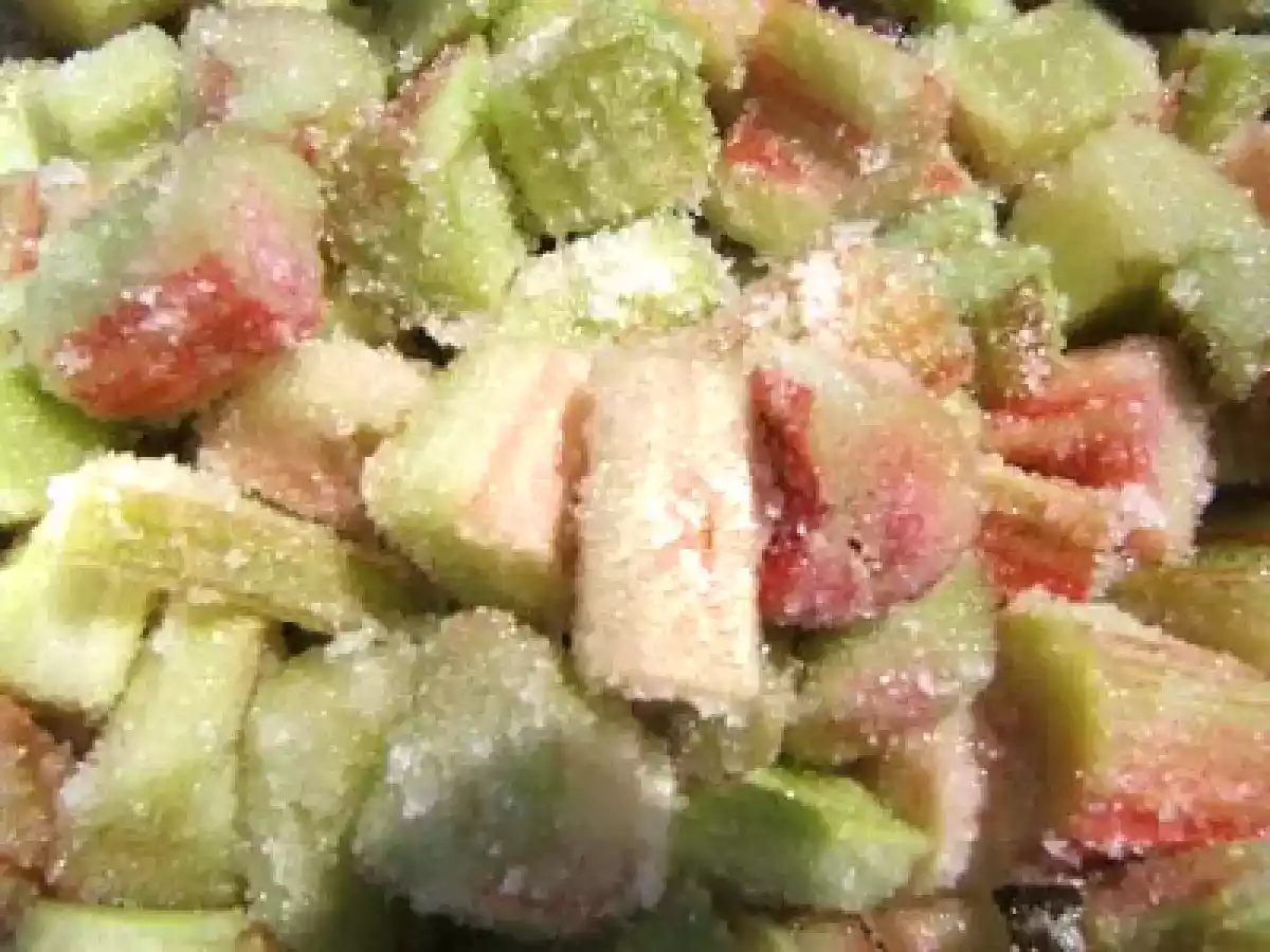 Tarte au pavot bleu - rhubarbe et framboises - photo 3