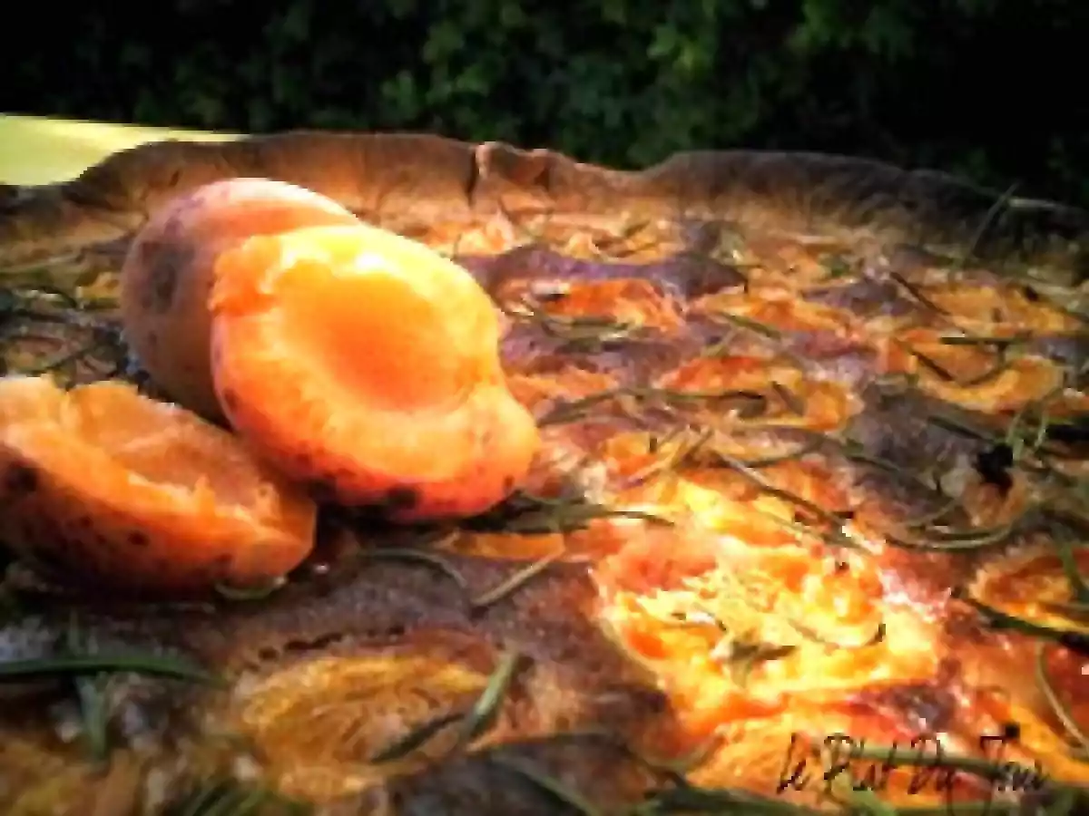 Tarte aux abricots, au miel et au romarin