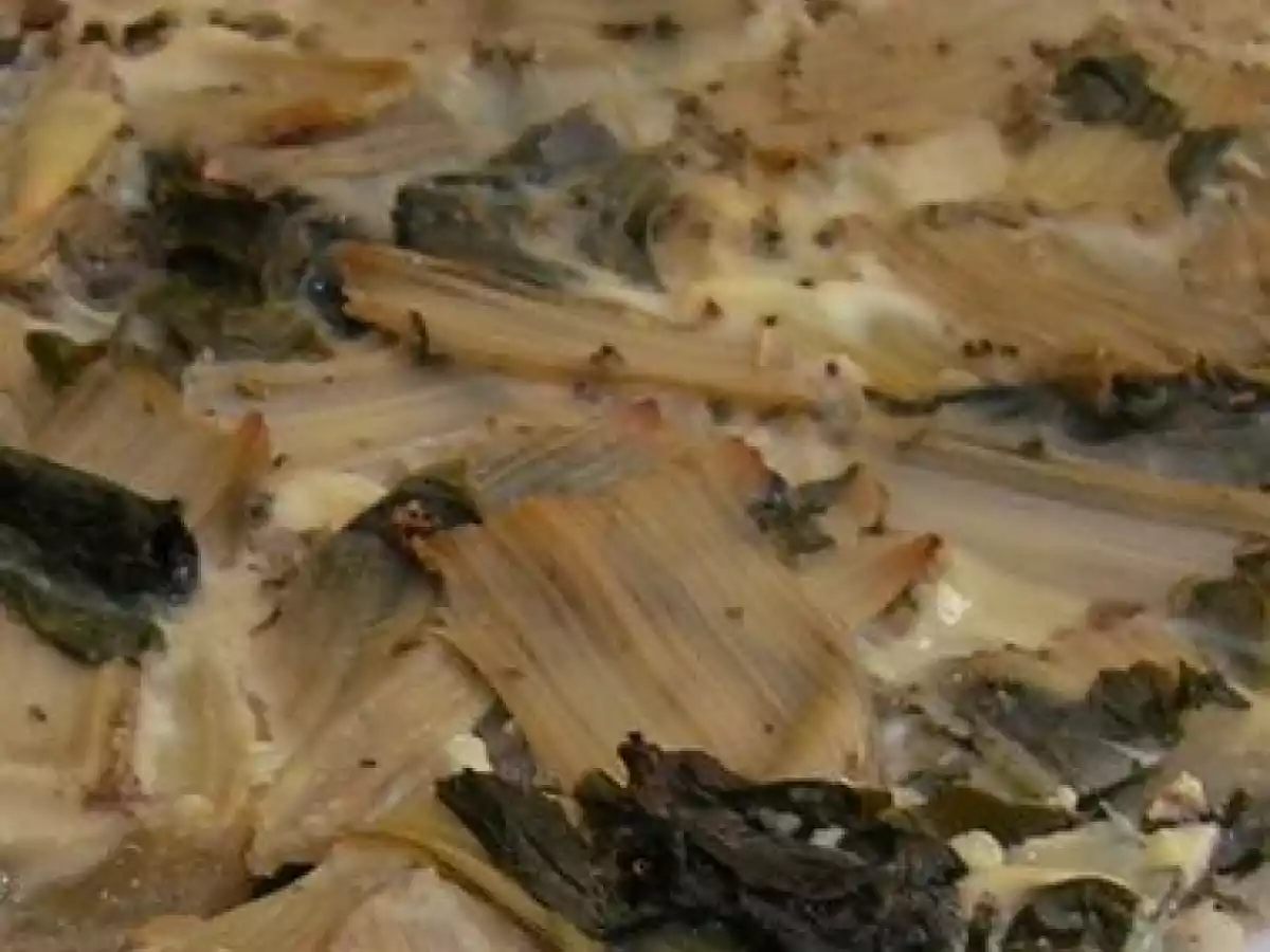 TARTE AUX BLETTES (toujours sans produit laitier...)