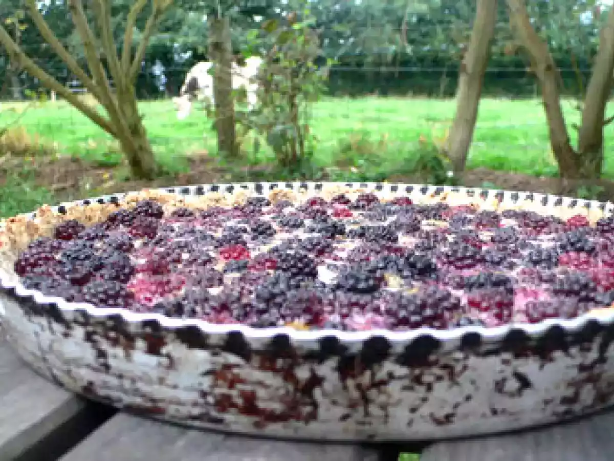 Tarte aux mûres et aux noisettes