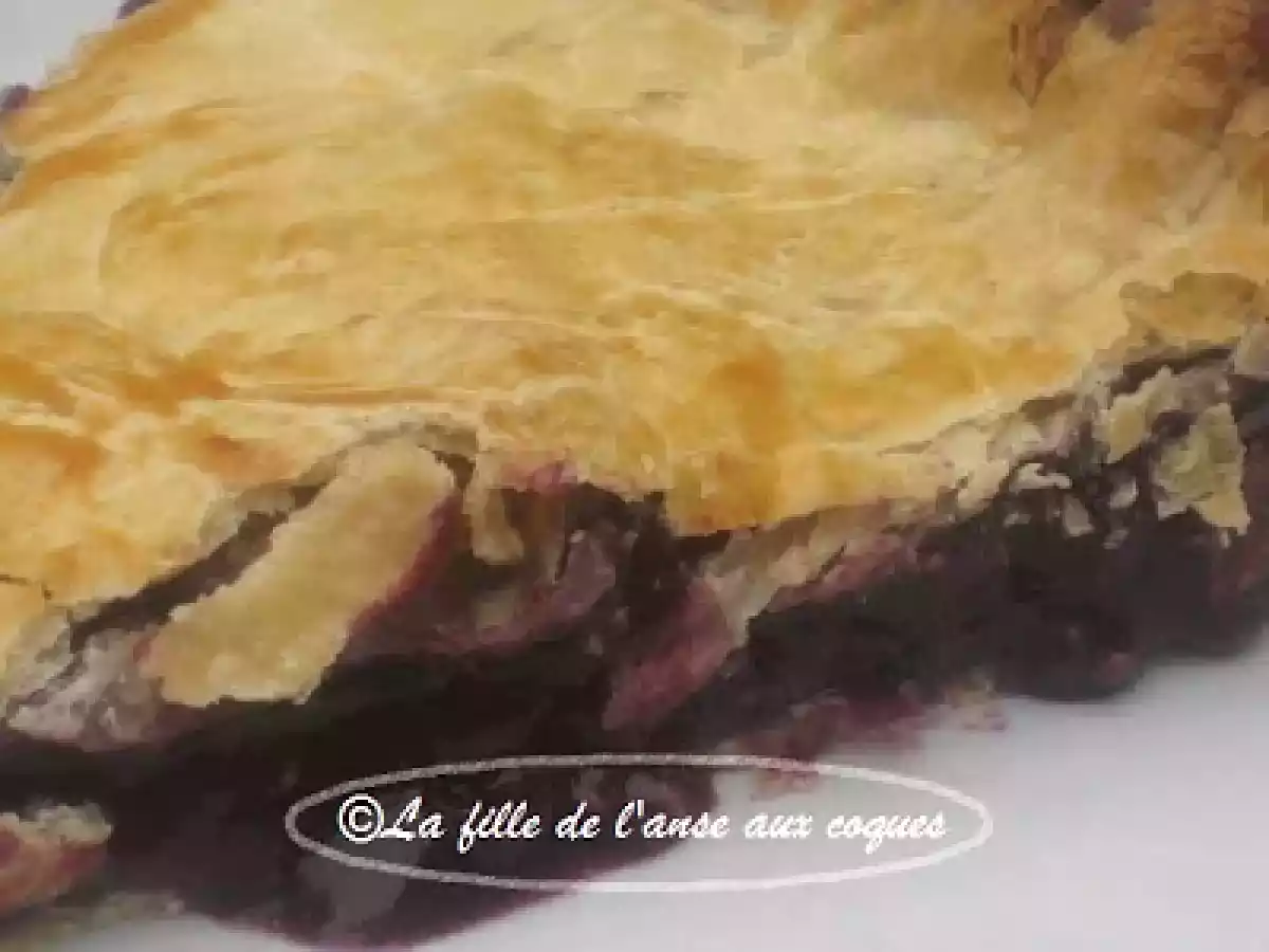 TARTE AUX RAISINS CONCORDE - photo 5