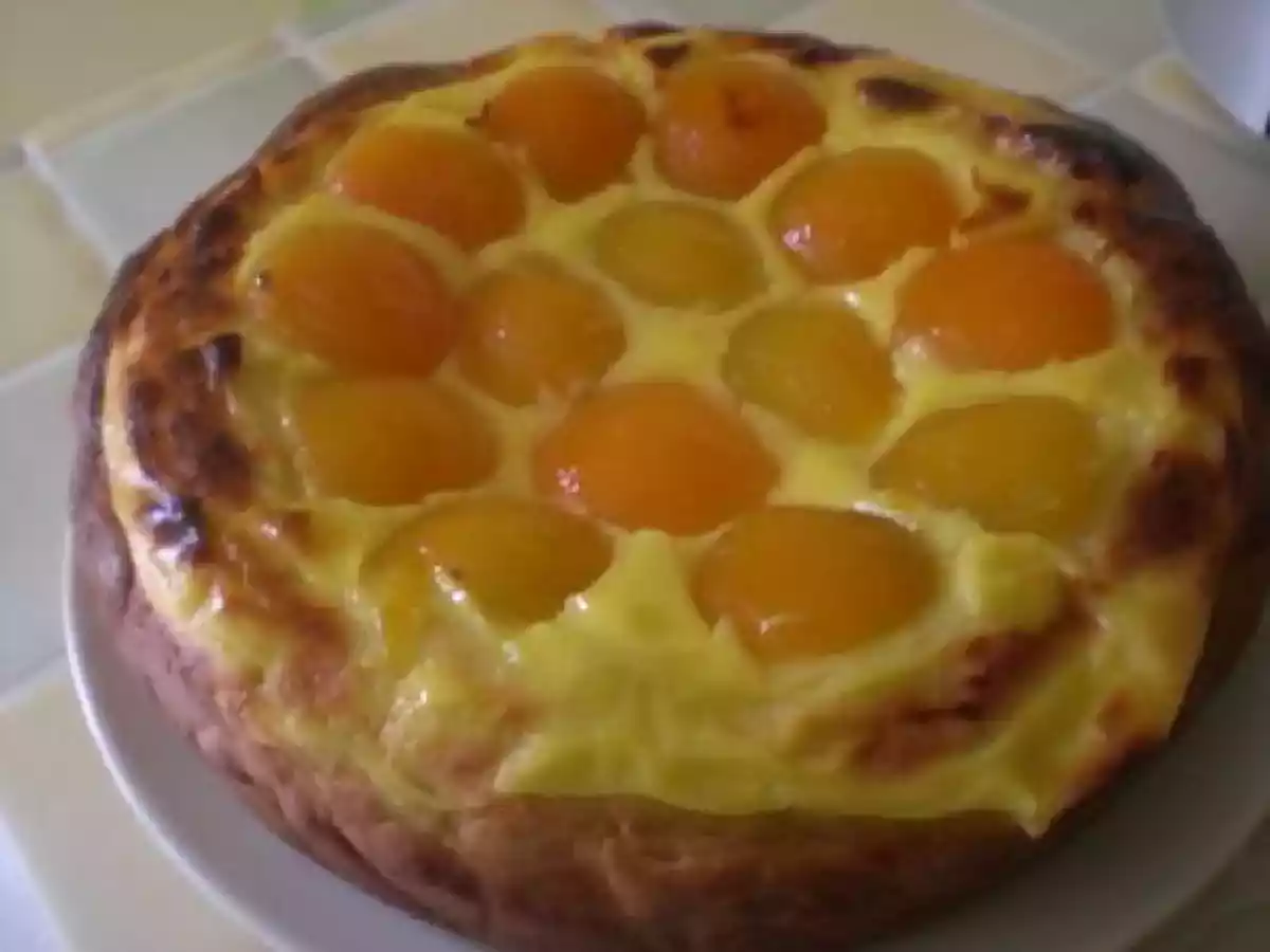 TARTE BRIOCHEE A L'ABRICOT