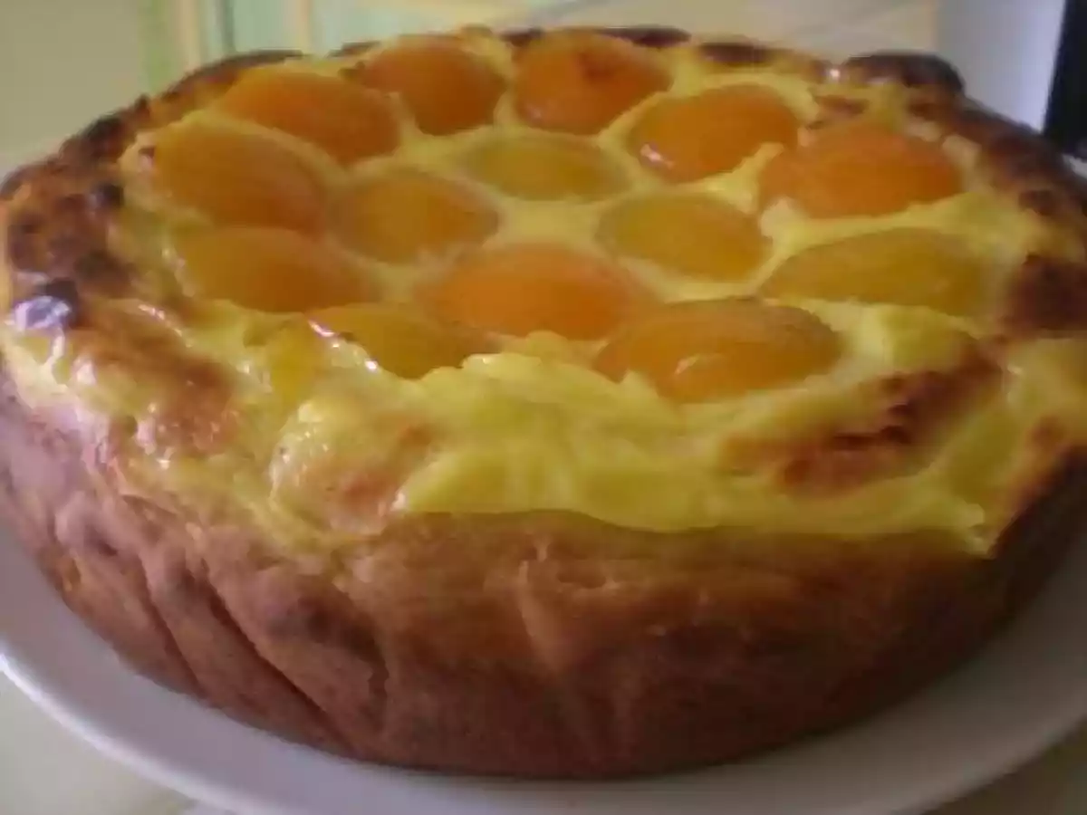 TARTE BRIOCHEE A L'ABRICOT - photo 2