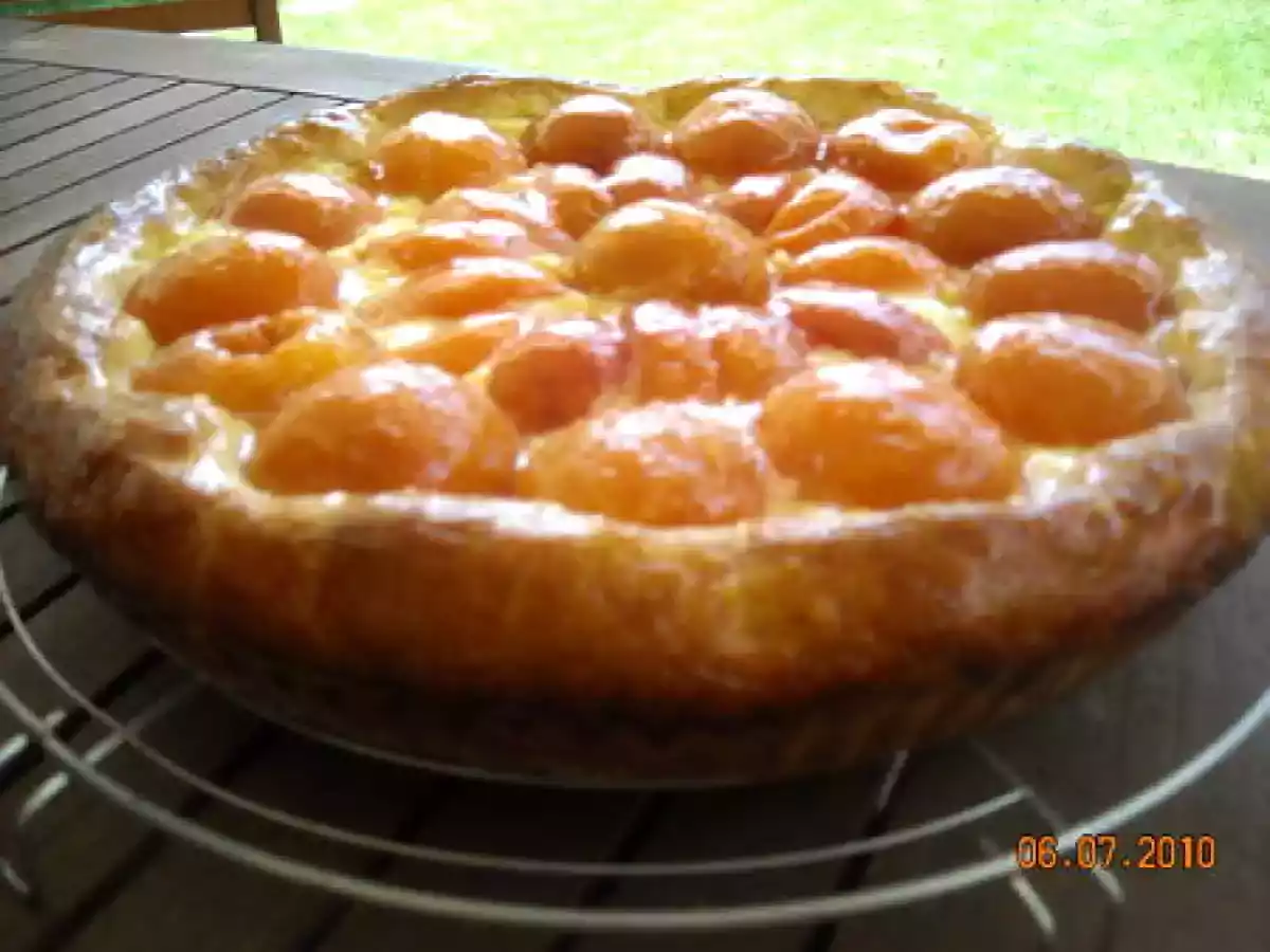 TARTE BRIOCHEE AUX ABRICOTS - photo 2