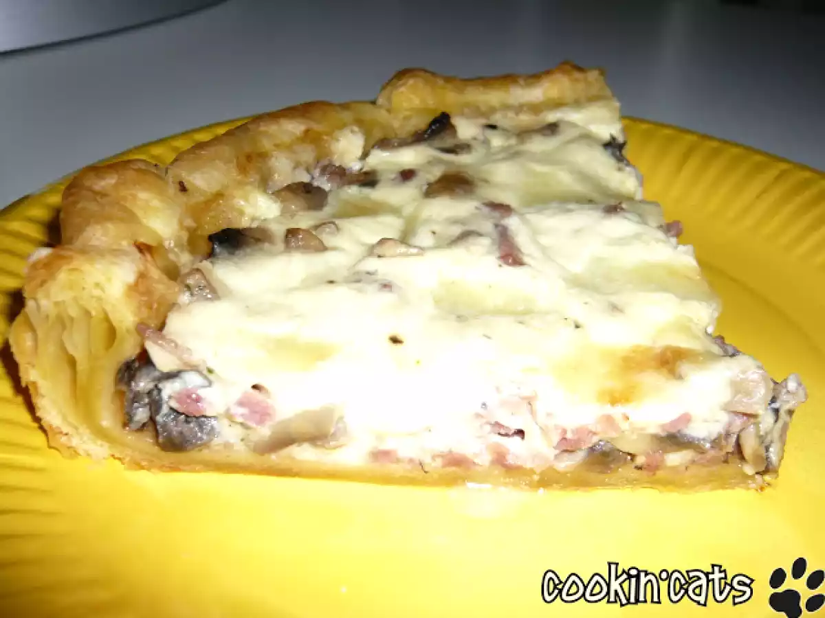 TARTE CHAMPIGNONS MOZZARELLA - photo 2