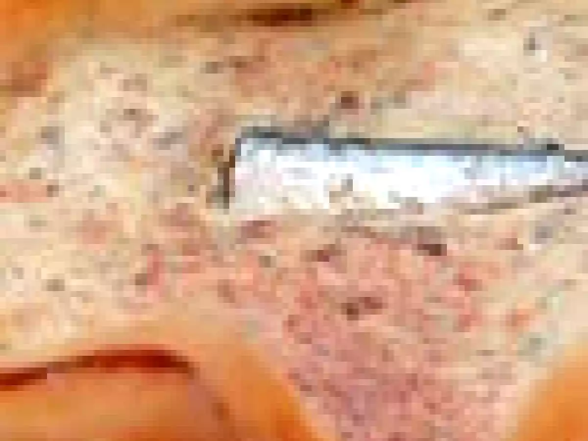 Tarte croustillante sardines & fromage fines herbes - photo 3