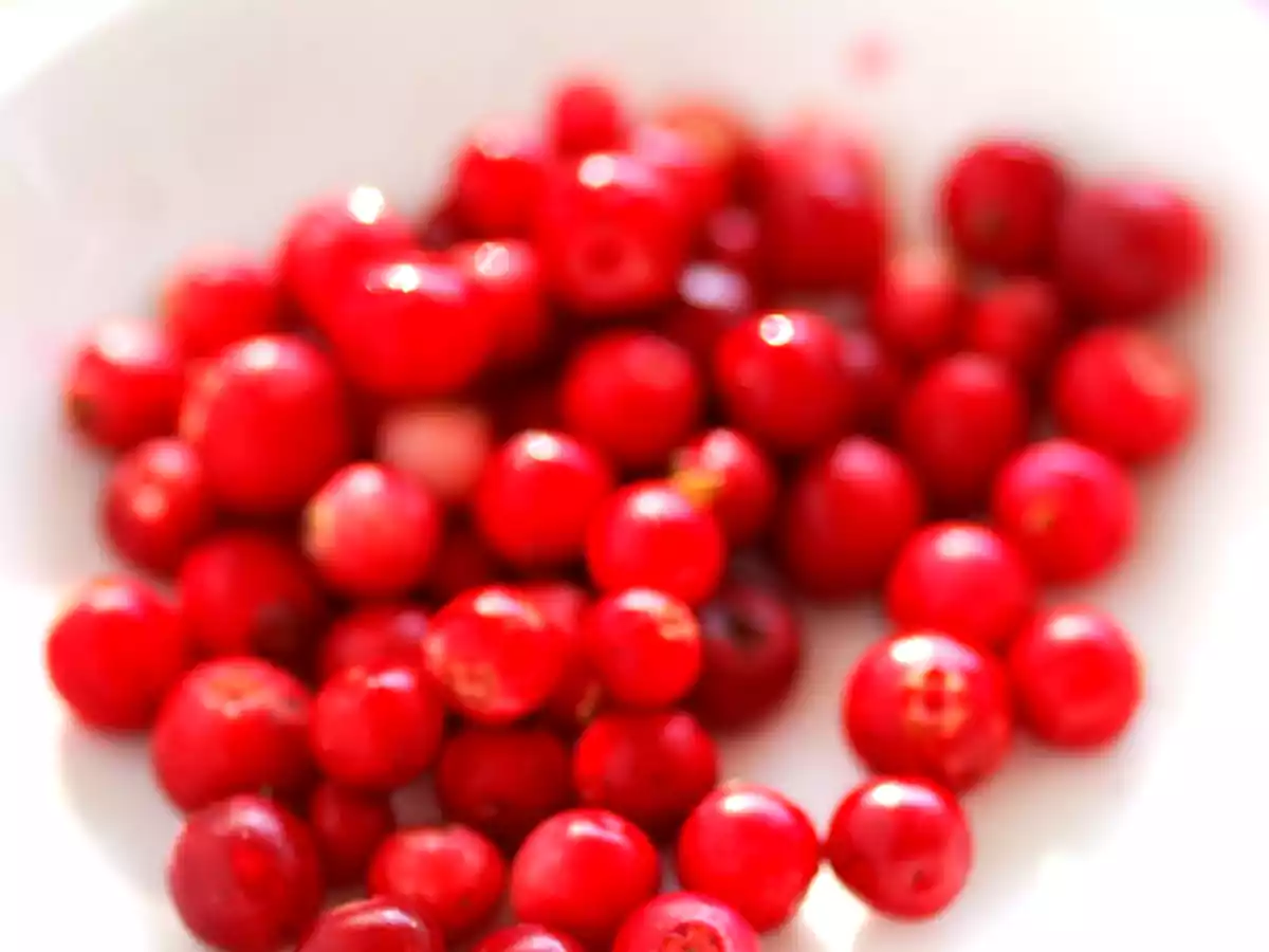 Tarte crumble aux airelles rouges - photo 2