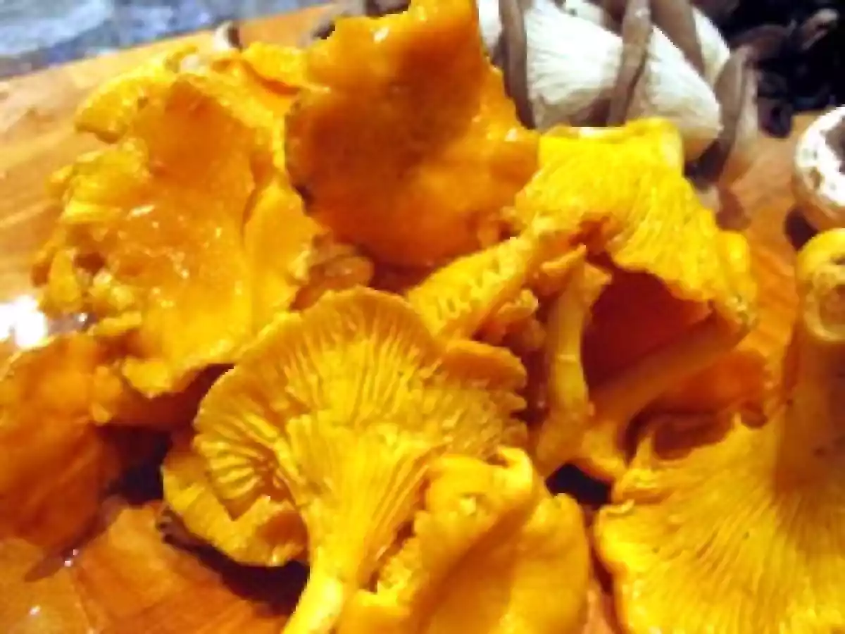 Tarte fine aux champignons forestiers